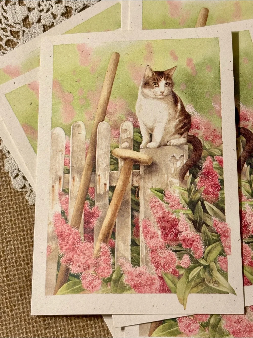 Cat artwork - Marjolein Bastin “A Place to Reflect” Hallmark cards blank (8)